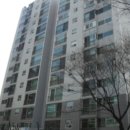 분당-141 이미지