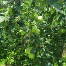 동현농장 이미지