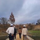 20231119 여전히 푸른 #벤트그라스 아난티서울(Ananti Seoul) 골프클럽(Golf Club), 문화와 콘텐츠가...