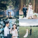 티나코리아 | 제주 웨딩 스냅 가격 무료 식전영상 제주도 티나드레스 웨딩 촬영후기