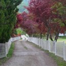 숲속의 농장 이미지