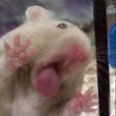 [4분기] (오전)일상을 그리는 스케치 | 예비엄마의 대만에서 1분기. 곧 만날 아가를 기다리며