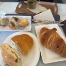 햇살농원 애견 이미지