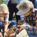 법인베리벨벳