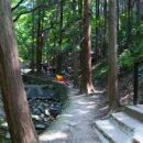 대신공원 민속예술관 옆 이미지