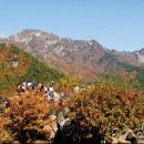 우정식당 민박 이미지