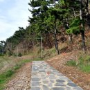 장고도5 이미지