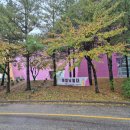 [운동] 속초 "아임낫볼더" 클라이밍 볼더링 암장 첫방문 후기/주차/난이도