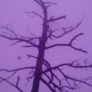 구름산책 이미지