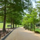 정병공인중개사사무소 이미지