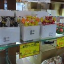 드래곤게임장 이미지