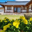 미천골한옥펜션 이미지