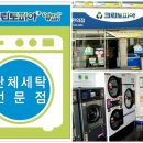 크린토피아작전현대점