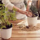 댄밖공원 이미지