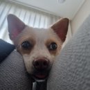 호반2차노브랜드 맞은편 이미지