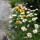 꽃소아청소년과의원 이미지