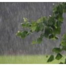 라온힐요양병원 이미지