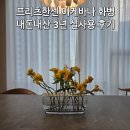 🩺 [오브제 처방전] 3년 쓴 프리츠한센 이케바나 롱 화병 내돈내산 후기 (ft. 황동 변색 주의보 🚨)