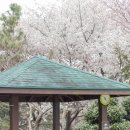 우암동 체육공원 이미지