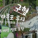 달랏_다딴라폭포_알파인 코스터_Old &amp; New 이미지