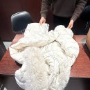 화이트 명품세탁 전문점 이미지