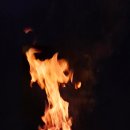 참나무숯불사우나 이미지