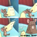 켓츠아이