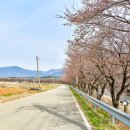 영신숲길3 이미지