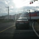 중남식당 이미지