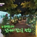 무주읍184 이미지