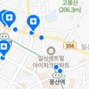 연세예스주니어치과의원 네이버블로그