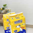 뽀숑 | 냄새없는배변패드 강아지배변패드 [코코뽀숑]