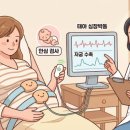NST | NST 검사란? 임신 후기 태동검사 언제 할까? 검사 방법부터 결과 해석까지 총정리