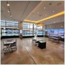 강아지에 빠지다 이미지