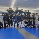 주짓수&엠엠에이 이미지