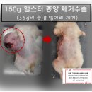 키움동물병원 이미지