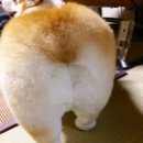 텐케이스
