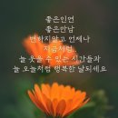 희망 리포트 이미지