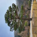 사계절 민물 | 가족들과 사계절 가기 좋은 화담숲 방문기 #2 화담숲