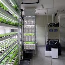 스윗샐러드 이미지