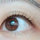 극동아파트사거리 | 곰손 탈출! 내 눈이 살아나는 마법, 속눈썹연장 후기