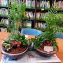 에버빌작은도서관 이미지