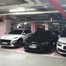 아바니핏 이미지