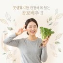 강인참기름 | 곰보배추 효능, 부작용 및 먹는법 손질법까지 완벽 정리