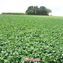 현경농장 이미지