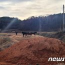 삼도파출소 이미지