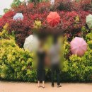 태안 청산수목원 홍가시나무 사랑의 불시착 촬영지 후기