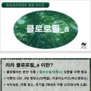 라라코리아 이미지