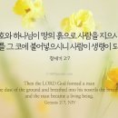 안식
