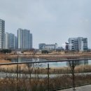 콜리송천점 네이버블로그